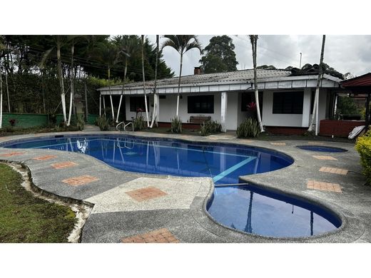 Ferme à Pereira, Departamento de Risaralda