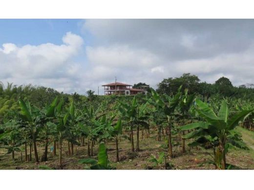 Quinta rústica - Filandia, Quindío Department