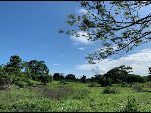 Teren w Juan de Acosta, Departamento del Atlántico