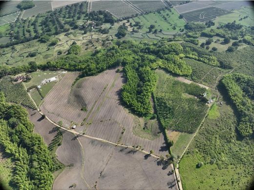 Αγροτεμάχιο σε La Tebaida, Quindío Department