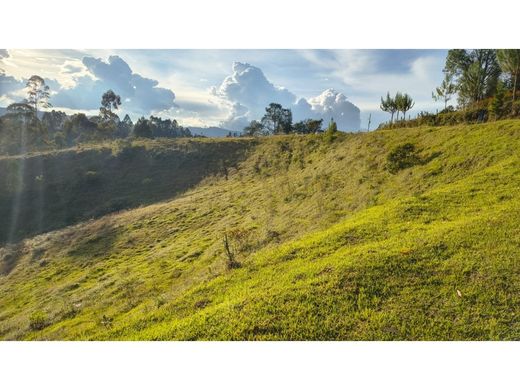 토지 / Guarne, Departamento de Antioquia