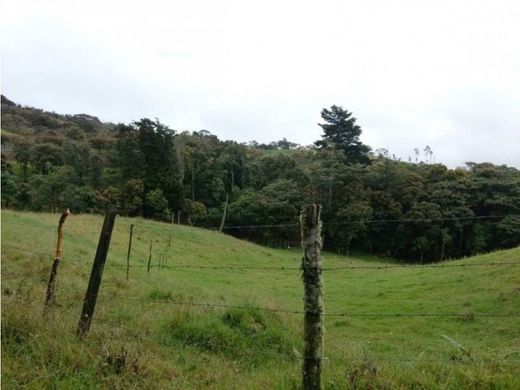 Land in Envigado, Departamento de Antioquia