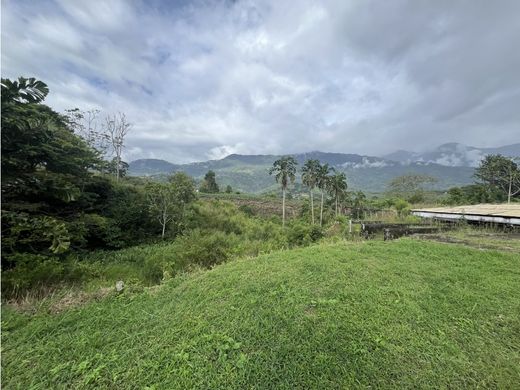 Farmhouse in Calarcá, Calarca
