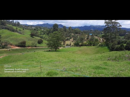 Grundstück in Rionegro, Departamento de Antioquia