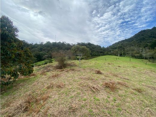 Land in Rionegro, Departamento de Antioquia