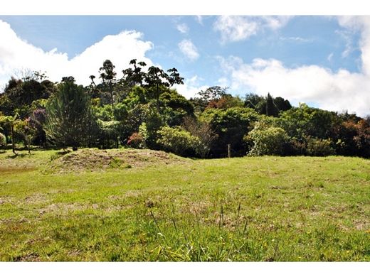 Terrain à Envigado, Departamento de Antioquia