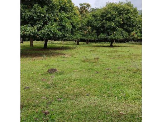 Terreno en Santa Fe de Antioquia, Santafé de Antioquia