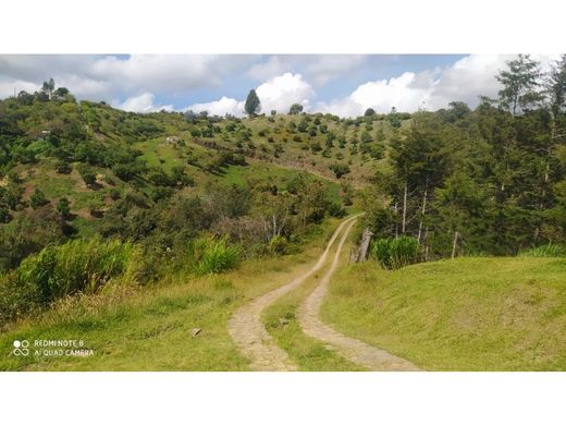 San Vicente, San Vicente Ferrerのカントリー風またはファームハウス