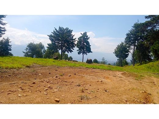 Αγροτεμάχιο σε Μεδεγίν, Medellín