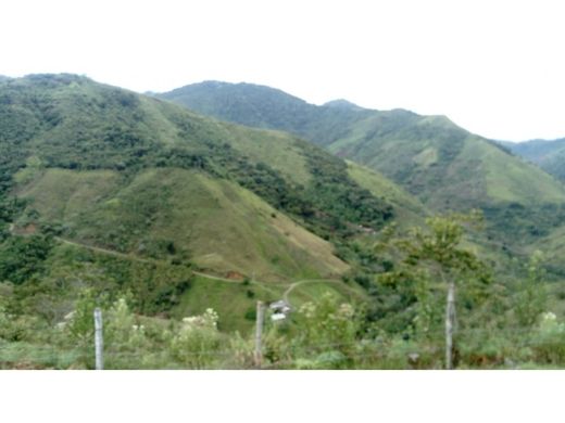 Tuluá, Departamento del Valle del Caucaのカントリー風またはファームハウス