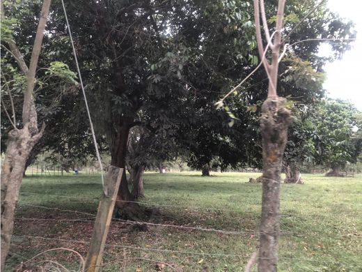 Grundstück in Cali, Departamento del Valle del Cauca