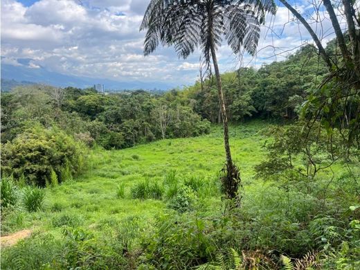 Arsa Armenia, Quindío Department