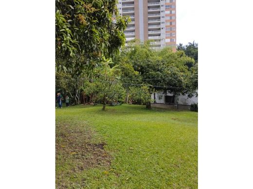 地皮  麦德林, Medellín