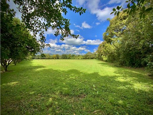 أرض ﻓﻲ Rionegro, Departamento de Antioquia