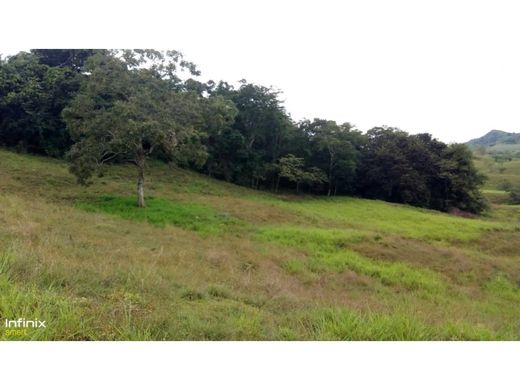 Gutshaus oder Landhaus in Sevilla, Departamento del Valle del Cauca