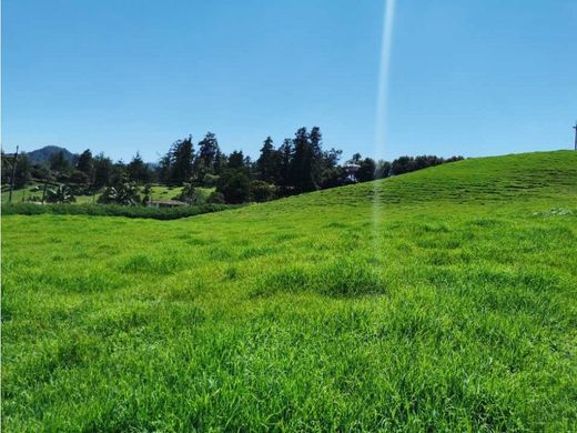 Terreno - Retiro, Departamento de Antioquia