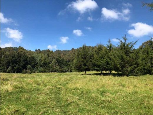 Αγροτεμάχιο σε Envigado, Departamento de Antioquia