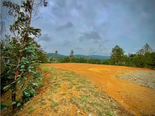 토지 / Retiro, Departamento de Antioquia