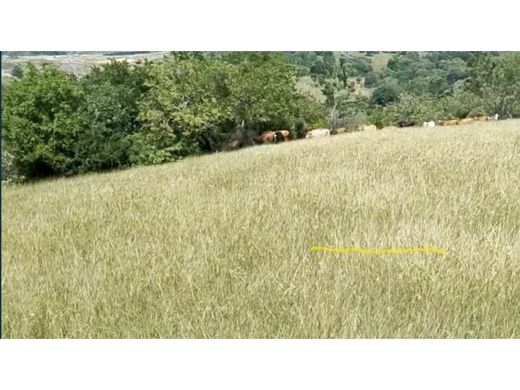 Quinta rústica - Guadalajara de Buga, Departamento del Valle del Cauca