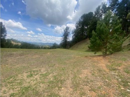 Teren w Retiro, Departamento de Antioquia