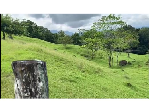 Ρουστίκ ή αγροικία σε Puerto Boyacá, Departamento de Boyacá