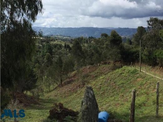 토지 / Guarne, Departamento de Antioquia