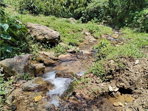 Land in Cocorná, Departamento de Antioquia