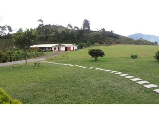 Ferme à Concordia, Departamento de Antioquia