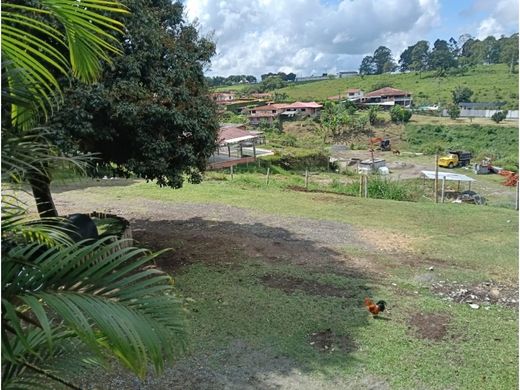 Terreno en Pereira, Departamento de Risaralda