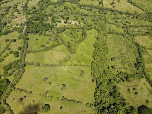 ‏קרקע ב  Valparaíso, Departamento de Antioquia