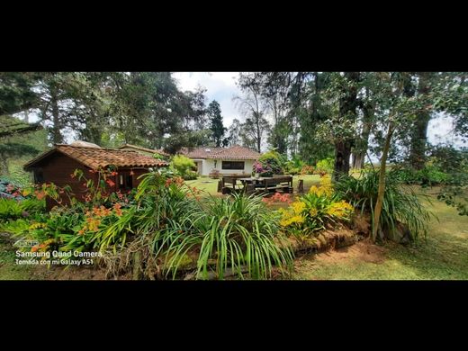 Rustik ya da çiftlik Rionegro, Departamento de Antioquia