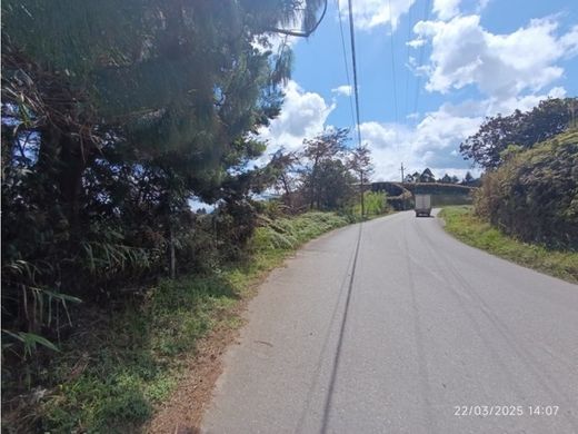 أرض ﻓﻲ San Vicente, San Vicente Ferrer