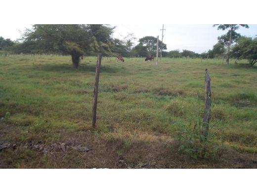 Boerderij in Tarazá, Departamento de Antioquia