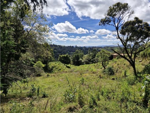 Grundstück in Rionegro, Departamento de Antioquia