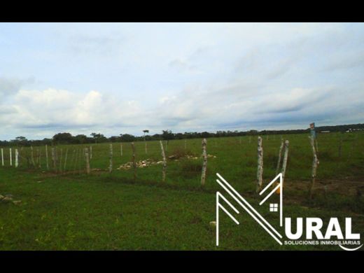 地皮  卡塔赫纳, Cartagena de Indias