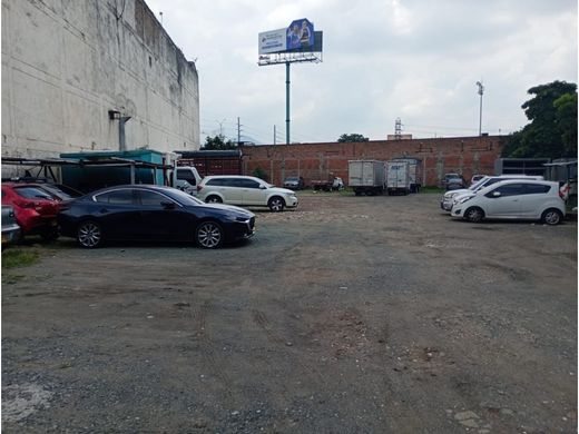 地皮  卡利, Cali