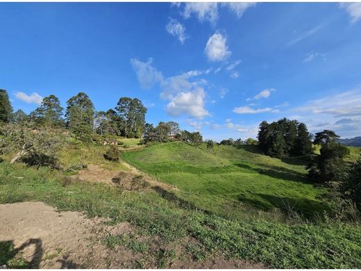 Land in Rionegro, Departamento de Antioquia