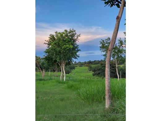 ﻣﻨﺰﻝ ﺭﻳﻔﻲ/ ﺑﻴﺖ ﻤﺰﺭﻋﺔ ﻓﻲ Ciénaga de Oro, Departamento de Córdoba