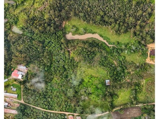 Ferme à Los Santos, Departamento de Santander