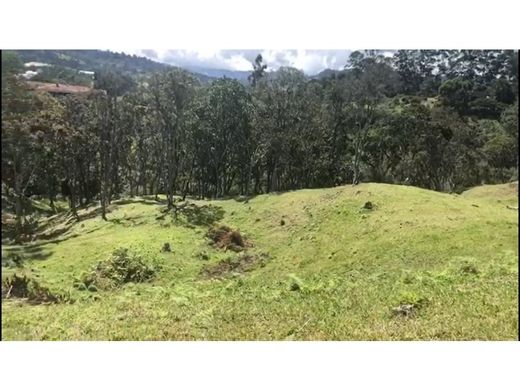 토지 / Rionegro, Departamento de Antioquia