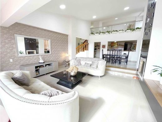 Daire Medellín, Departamento de Antioquia