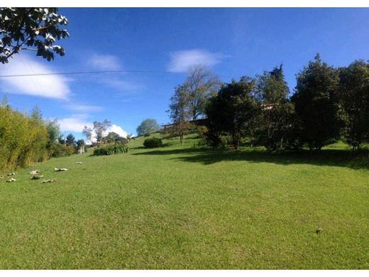 Terreno a Rionegro, Departamento de Antioquia