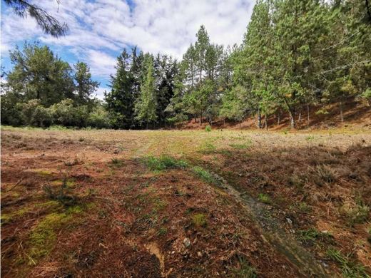 Αγροτεμάχιο σε Envigado, Departamento de Antioquia