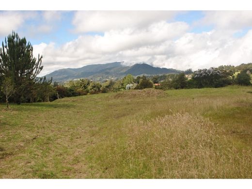 ‏קרקע ב  מדיין
, Medellín