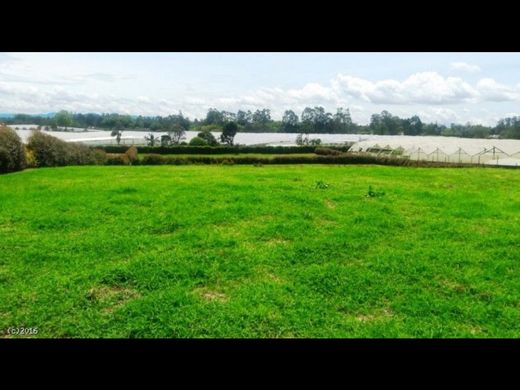 ‏קרקע ב  Rionegro, Departamento de Antioquia