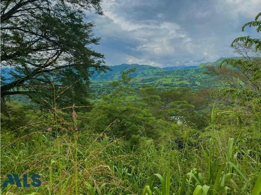 컨트리하우스 / Fredonia, Departamento de Antioquia