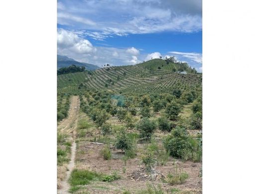 Cortijo o casa de campo en Caldas, Departamento de Antioquia