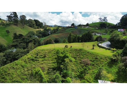 Arsa La Ceja, Departamento de Antioquia
