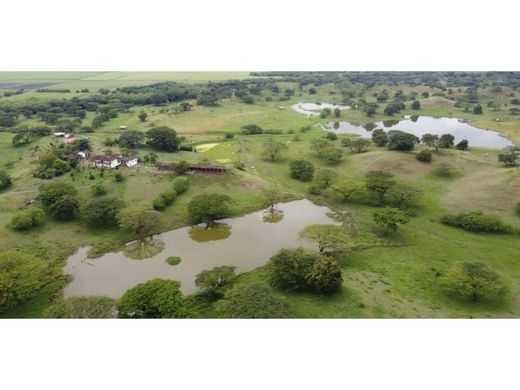 Terrain à Zarzal, Departamento del Valle del Cauca