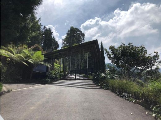 Arsa Envigado, Departamento de Antioquia
